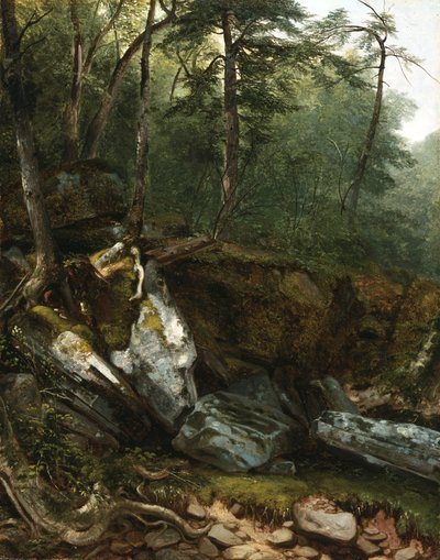 Étude de la nature : Rochers et arbres dans les Catskills, N.Y., 1856 - Asher Brown Durand